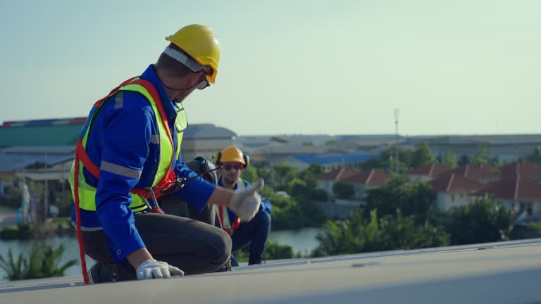 Steel Roofing in Amesti, CA